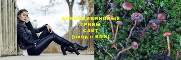 гашик Баксан