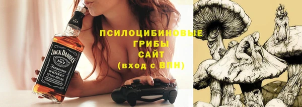 гашик Баксан